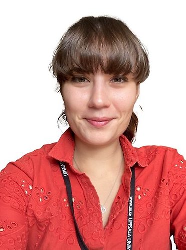 Ege Pehlivanoglu